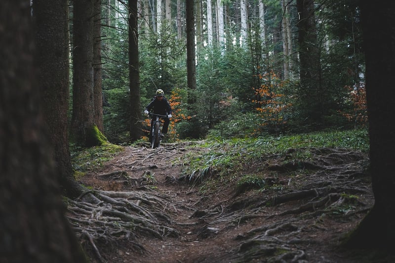 Trail Snacks